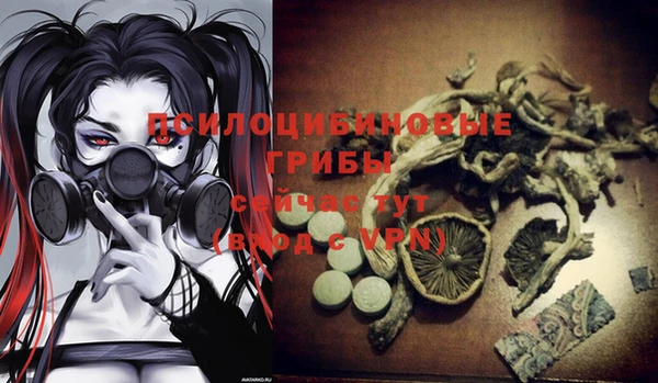 таблы Белоозёрский
